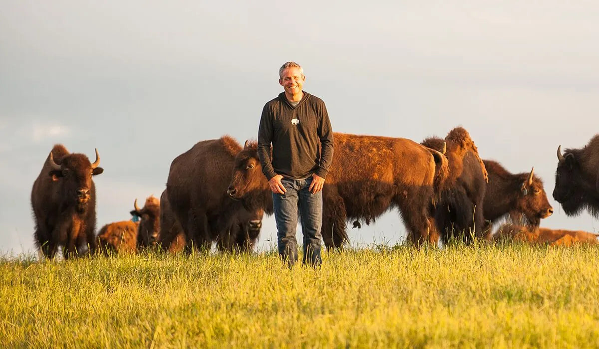 The Honest Bison