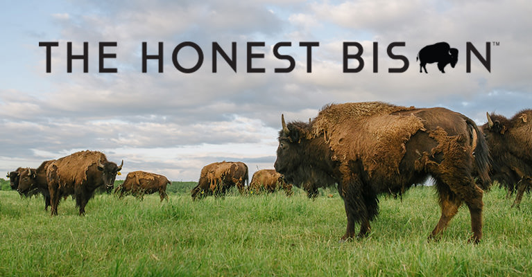 The Honest Bison