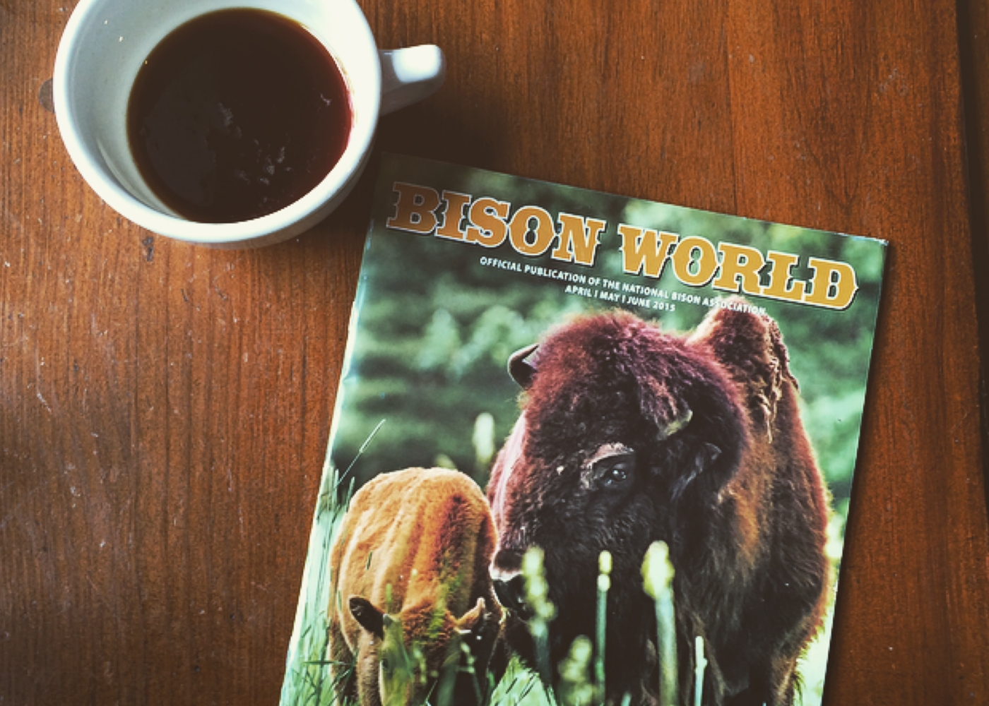 Bison World magazine