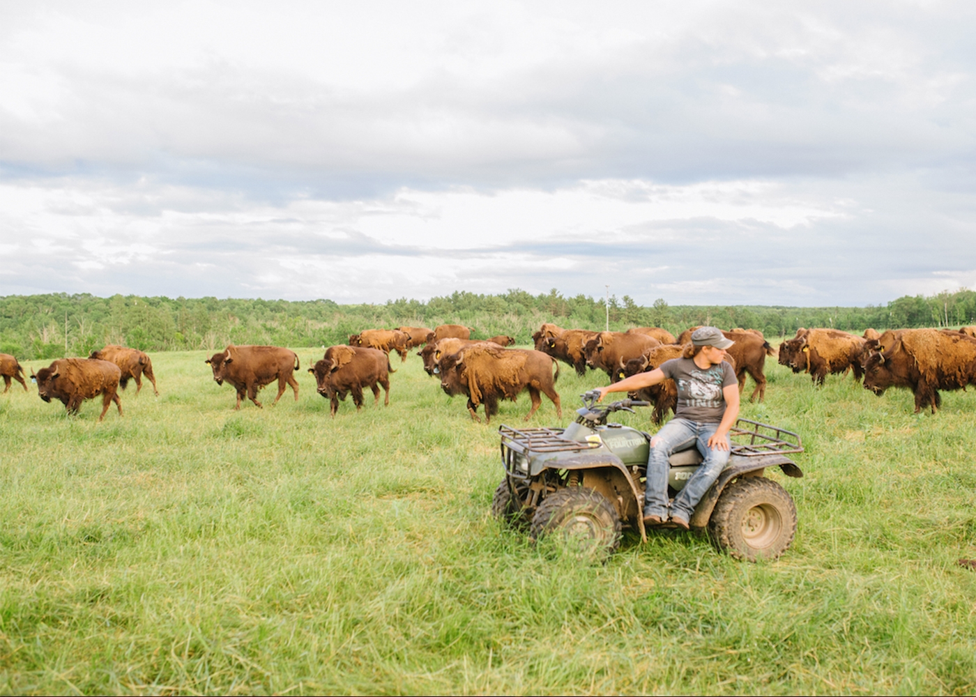 bison rancher